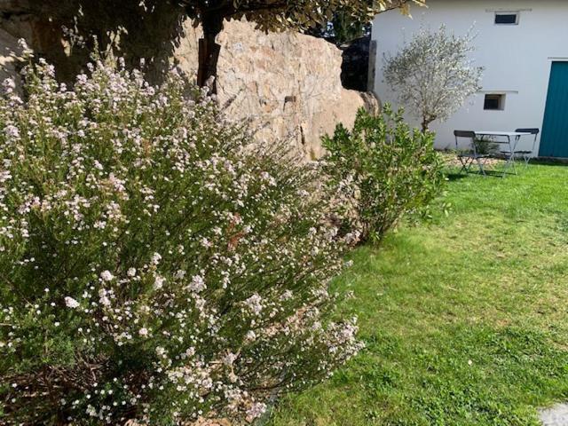 Chambre D'Hotes Les Petits Oiseaux Ναντ Εξωτερικό φωτογραφία