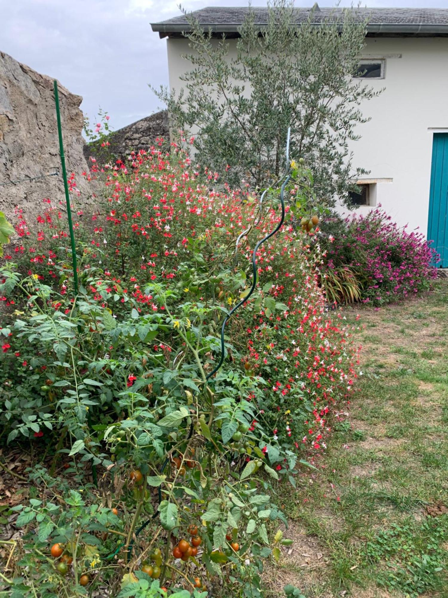 Chambre D'Hotes Les Petits Oiseaux Ναντ Εξωτερικό φωτογραφία